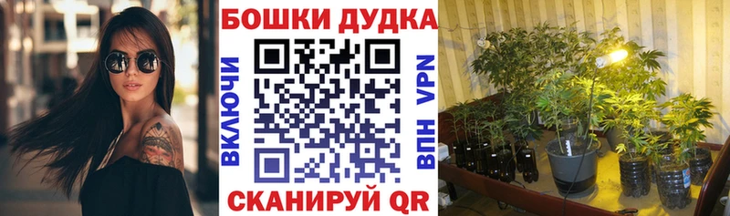 Бошки Шишки Ganja  Калининск 